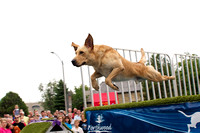 Ultimate Air Dogs - Traverse City