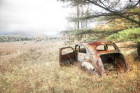 Rusting - Beaver Island